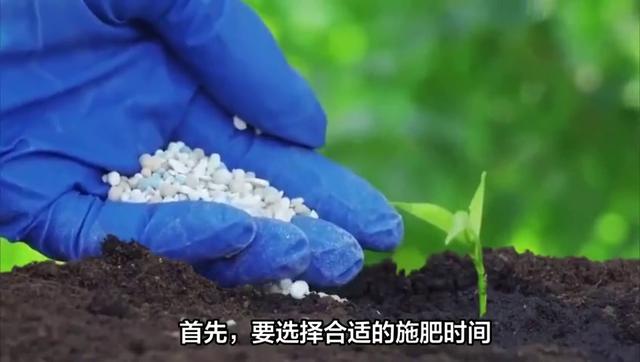 硫酸亚铁肥料使用方法，亚铁肥料使用技巧？